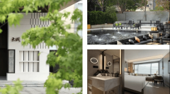 从绿色饭馆的倡议人到饭馆低碳“领甲士” 王建